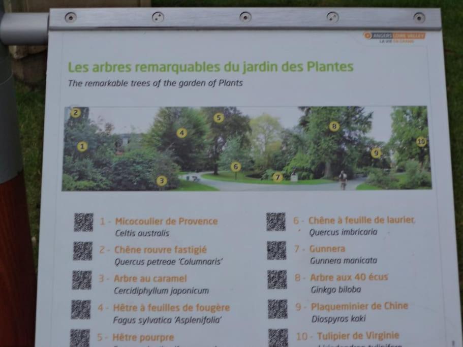 La Bergerie Angers Centre Ville ภายนอก รูปภาพ